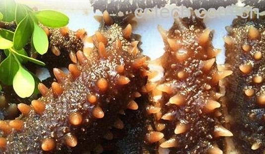 海参泡发以后怎么保存-0