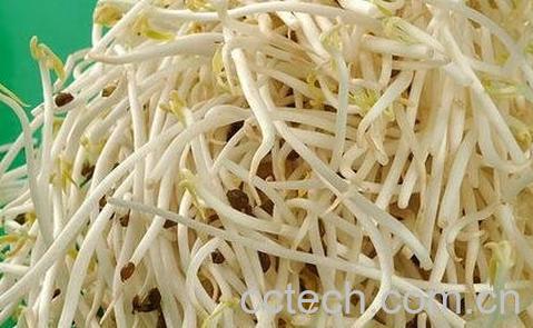 绿豆芽的功效与作用-0