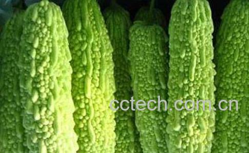 苦瓜怎么做好吃-0