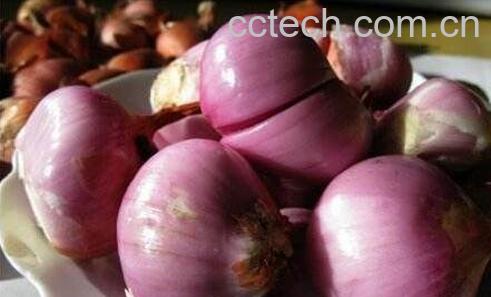 毛葱的功效与作用-0