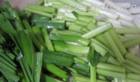 青蒜苗的营养价值 -0