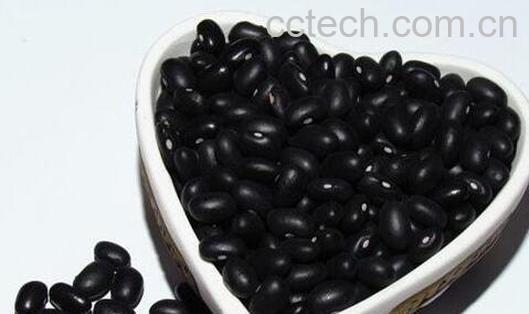 常吃黑色食物能补肾 -0