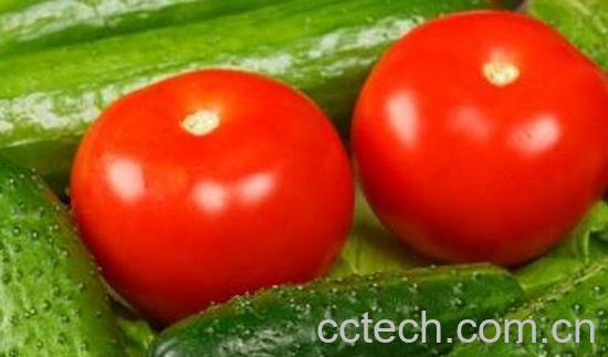 黄瓜和西红柿能一起吃吗-0