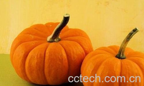 南瓜的营养价值有多高-0