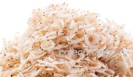 虾皮不能和什么一起吃-0