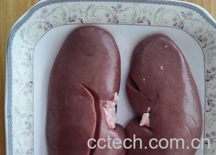 猪腰子的功效与作用-0