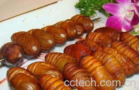 蚕蛹的营养价值-0