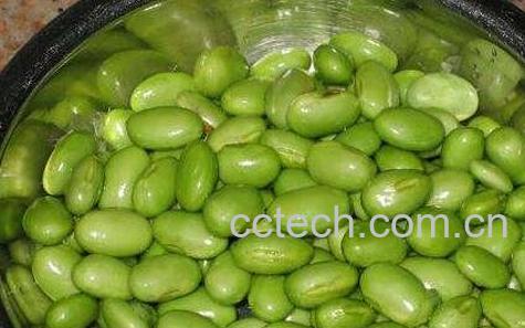 青豆的保健功效与作用-0