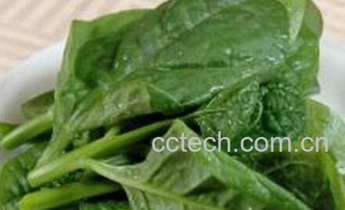 木耳菜的营养价值与功效-0