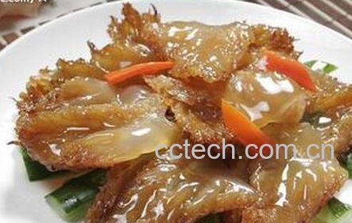 海蜇头的功效与作用-0