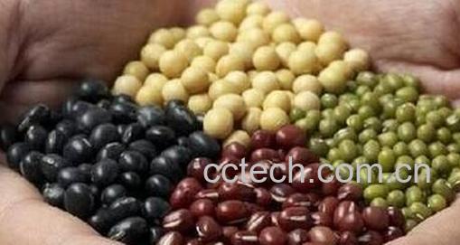 豆类食材有哪些 -0