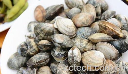 花蛤怎么清洗-0