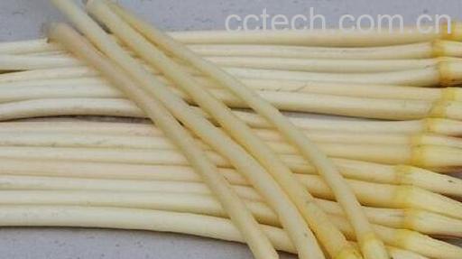 藕带的功效与作用-0