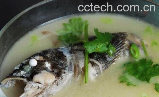 黑鱼的营养价值与功效-0