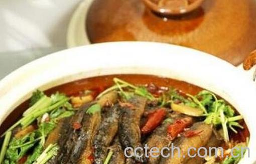 泥鳅的功效与作用-0