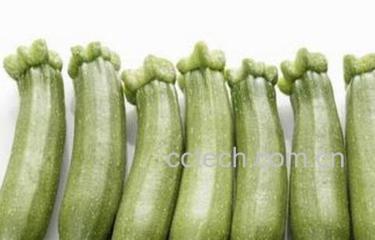 西胡瓜的功效与作用-0