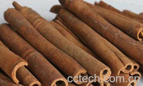 吃桂皮的好处与坏处-0