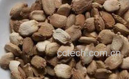 苦瓜子能吃吗-0