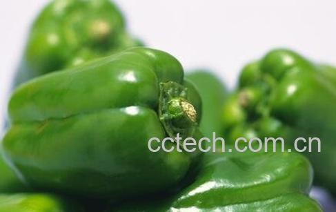 青椒的功效与作用-0
