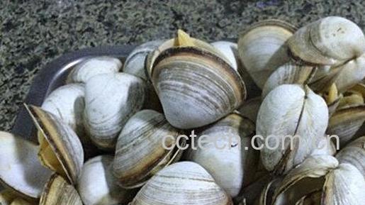 果蔬百科蚶子的功效与作用-0
