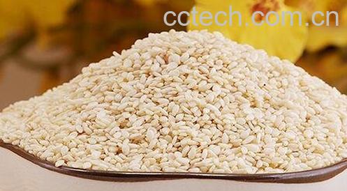 白芝麻的营养价值-0