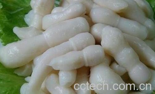 鸡腿菇的功效与作用-0