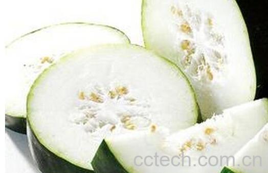 冬瓜的食疗功效与用法-0