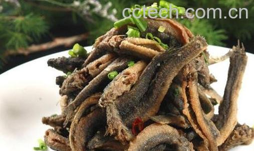 泥鳅的营养价值与药用价值-0