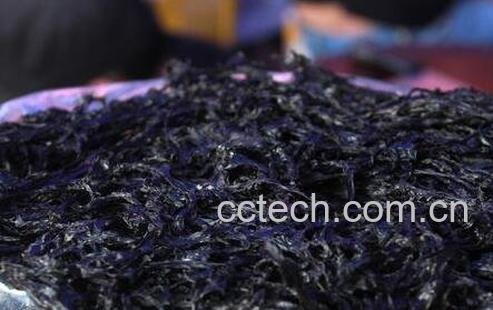 紫菜与海苔的区别-0