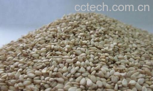 白芝麻的养生功效与作用-0