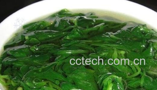 菠菜汤的营养价值与功效-0