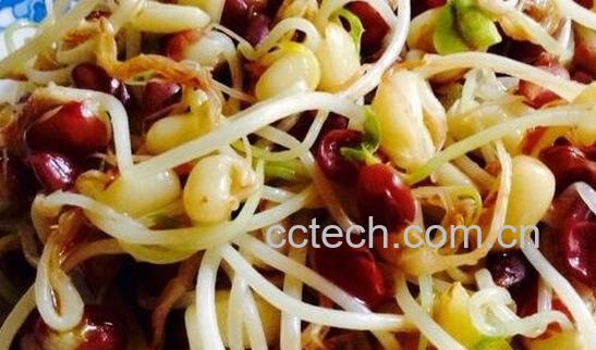 红豆芽的营养价值-0