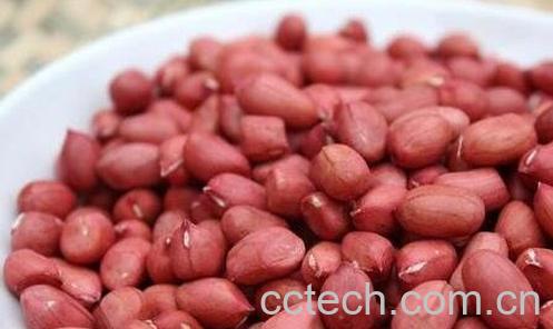 花生仁的功效与作用-0