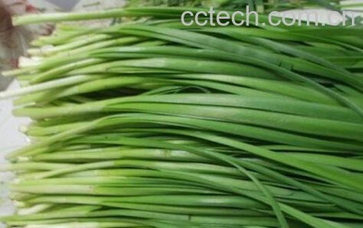 孕妇能吃韭菜吗-0