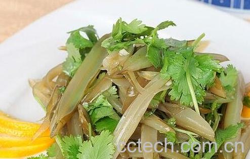 海白菜的营养价值-0