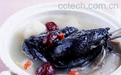 乌鸡的功效与作用-0