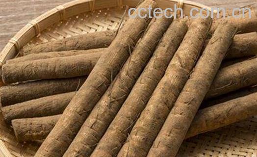 牛蒡的药用价值与功效-0