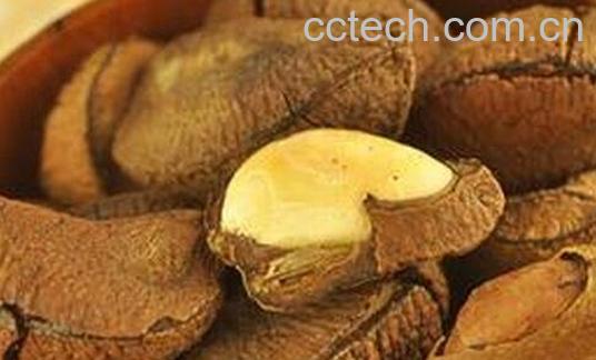 巴西坚果的功效与作用-0