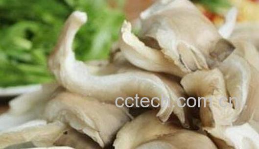 鲜蘑的功效与作用-0