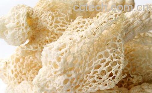 果蔬百科竹荪的功效与作用-0