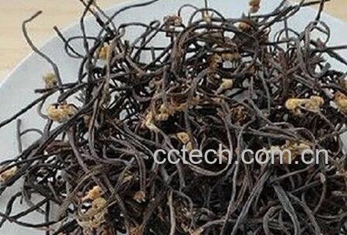 干蕨菜怎么泡发 -0