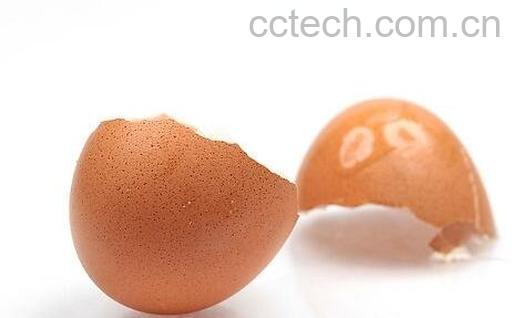 果蔬百科鸡蛋壳能吃吗-0