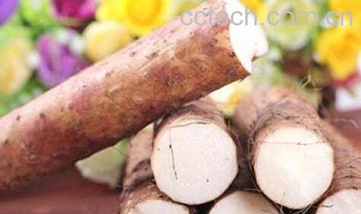 淮山的功效与作用-0