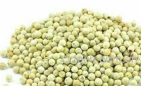 白胡椒的功效与作用-0