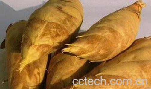 竹笋的营养价值-0