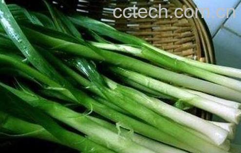 蒜苗的功效与作用-0