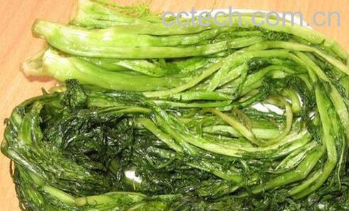 果蔬百科雪里红的营养价值-0