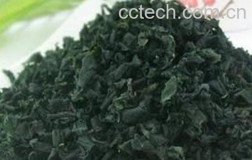 果蔬百科螺旋藻的营养价值与功效-0