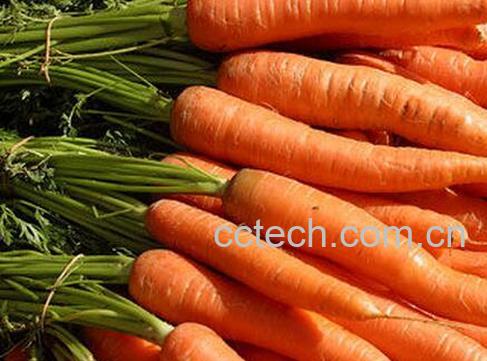 果蔬百科吃什么蔬菜对眼睛好-0