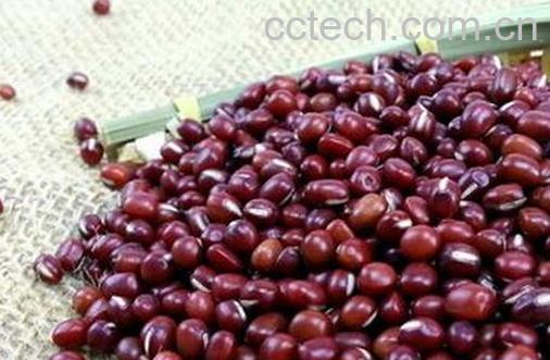 果蔬百科赤豆是什么-0